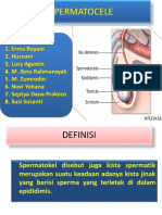 SPERMATOCELE