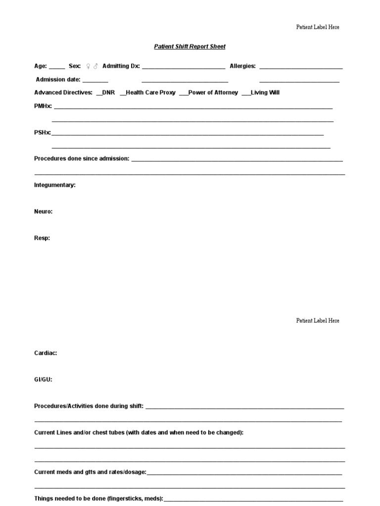 Patient Shift Report Sheet | PDF