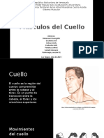 Músculos del cuello