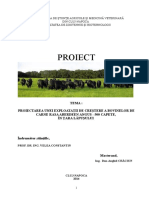 proiect