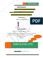 6248608-SUMMER-TRAINING-PROJECT-REPORT-ON-Idbi-Bank.doc