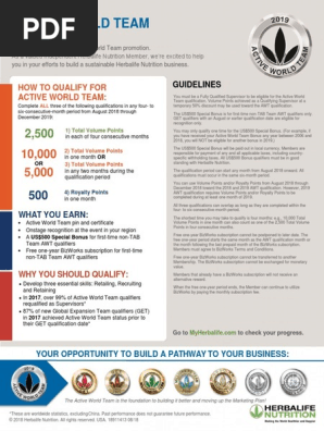 2019 Active World Team 1 Year Flyer Opt2 Pdf Payments Business