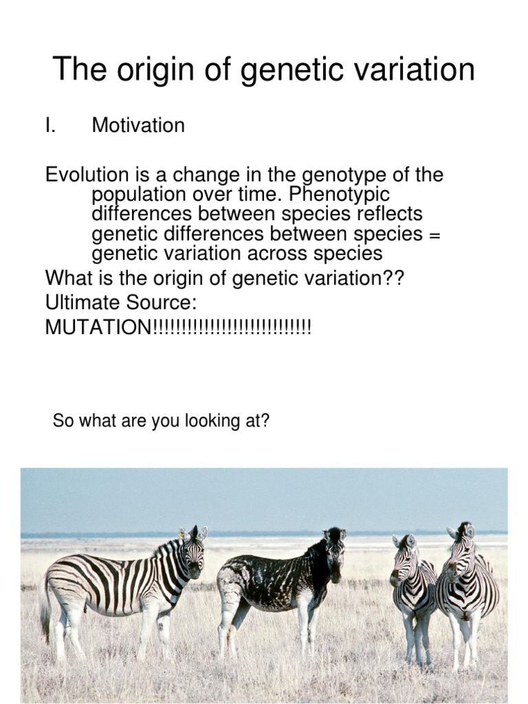 Genetic Variation and Mutations Explained | PDF | Zygosity | Genetic ...