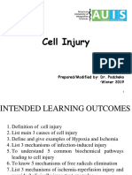 03 Cell Injury