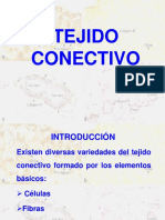 Tejido Conectivo 