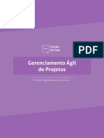 Estudo de caso sobre a implementação ágil de um sistema de gestão empresarial