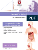 Secreción Salival 2018