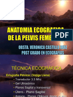 Anatomia Ecografica de La Pelvis Femenina