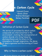 Carbon Cycle