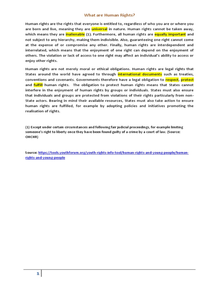 Understanding Human Rights Explained | PDF