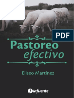 Pastoreo Efectivo