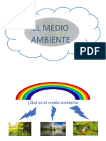 El Medio Ambiente