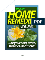 Big Book of Home Remedies PDF