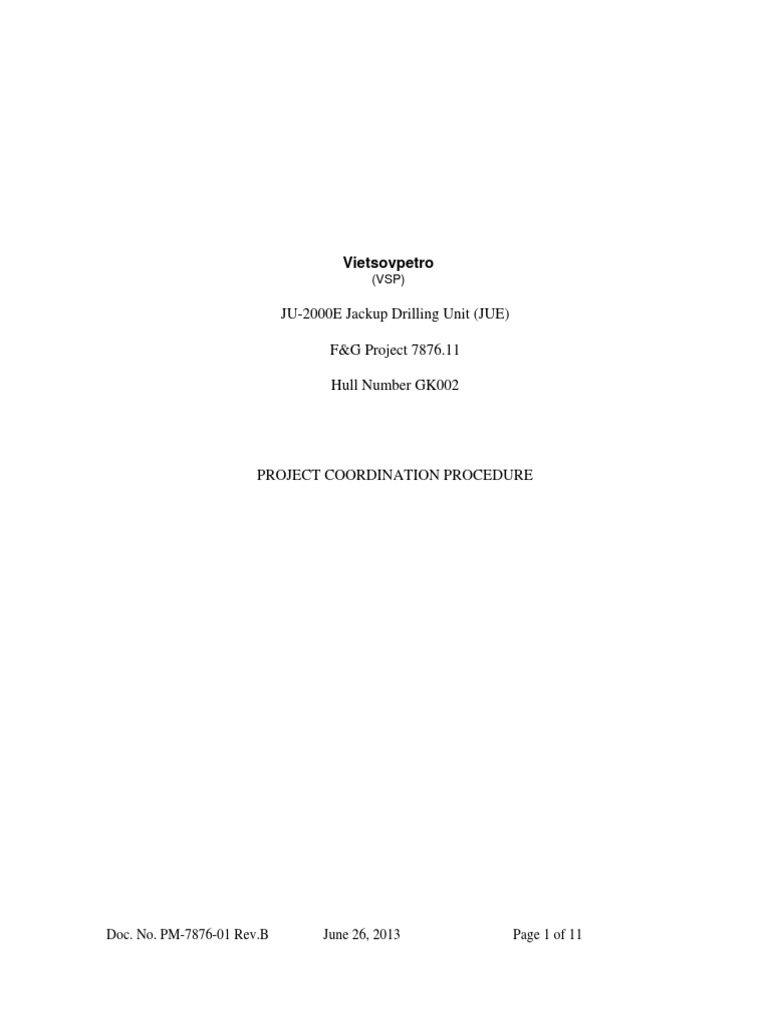 VSP-F&G Project Coordination Guide | PDF | Technology & Engineering