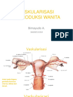 Vaskularisasi Repro Wanita