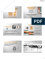 Aula Dermatozoonoses Parasitárias