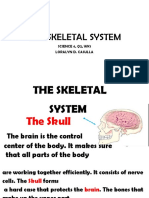 The Skeletal System: Science 4, Q2, Wk1 Loralyn D. Casulla