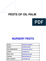 PESTS OF OIL PALM pictures pps.pps