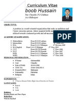 Raja Mahboob Hussain: Curriculum Vitae