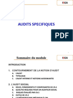 Audits Specifiques 