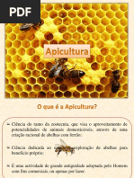 apicultura_-_nooes_gerais.pdf