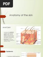 Anatomy of the Skin