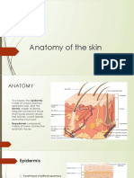 Anatomy of The Skin