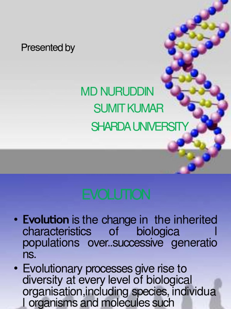 Understanding Evolutionary Theories | PDF | Evolution | Natural Selection