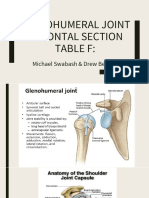 Glenohumeral Joint - Frontal Section 1