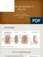 Trauma de Abdomen