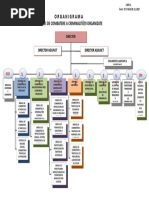 Anexa 1 Organizarea DCCO