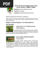 Centro de Educación Media Agropecuaria Del Sur