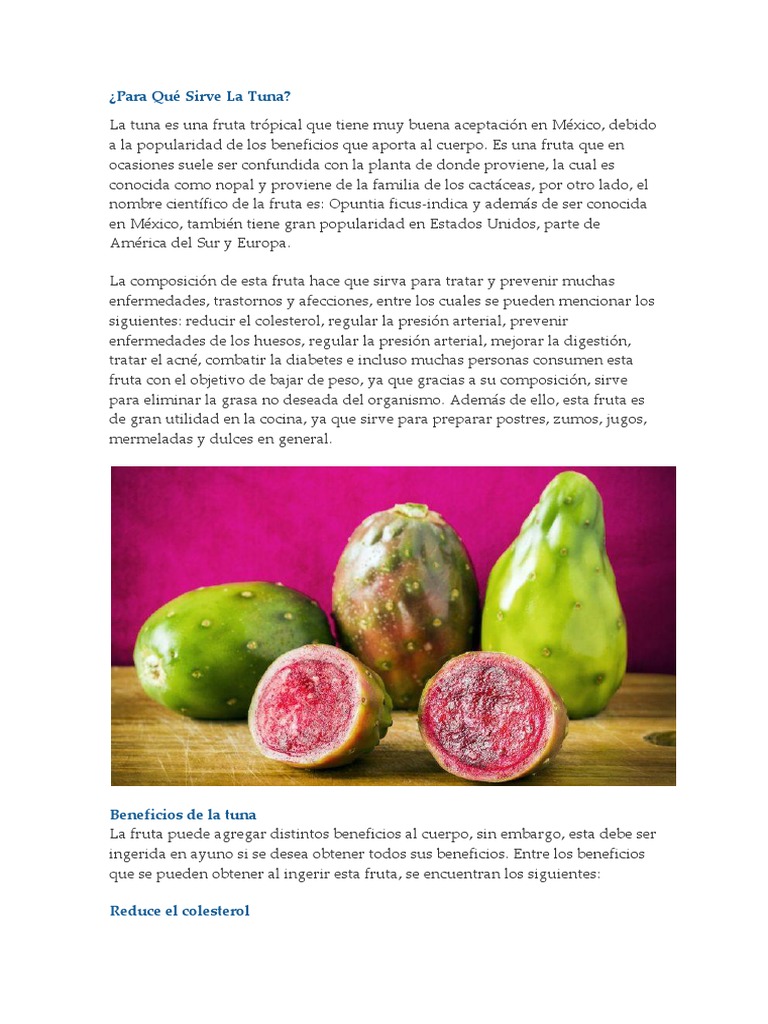 Tuna Propiedades y Contraindicaciones Diabetes mellitus Calcio