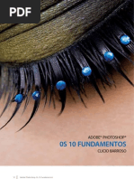 Os 10 Fundamontos Do Photoshop