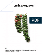 pepper.pdf