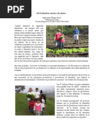 De La Huerta Casera a La Mesa