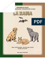 rabia afiche explicaciòn.pdf