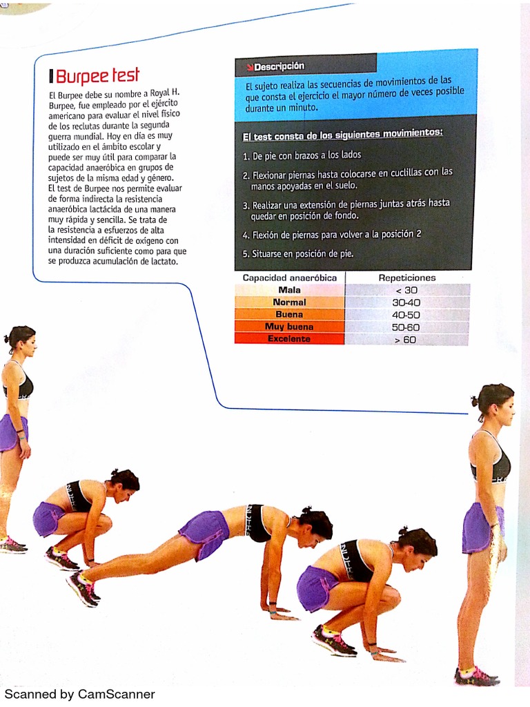 Test Burpee | PDF