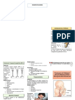 Malformaciones Traqueoesofagicas