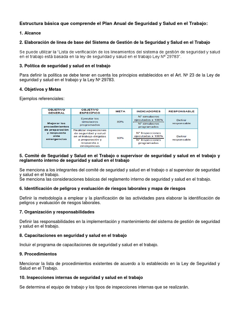 Plan y Programa Anual de Seguridad y Salud en El Trabajo - Resumen ...