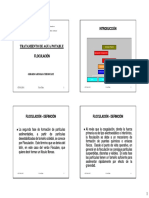 CI51K_Floculaci_n.pdf