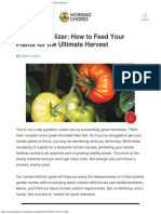 Tomato Fertilizer_ How to Feed Your Plants for the Ultimate Harvest