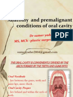 Oralprecancerouslesions 