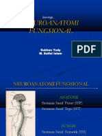 Neuroanatomi - Fungsional s.ppt-1