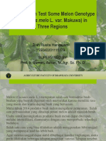 Multilocation Test Some Melon Genotype (Cucumis Melo L. Var. Makuwa) in Three Regions