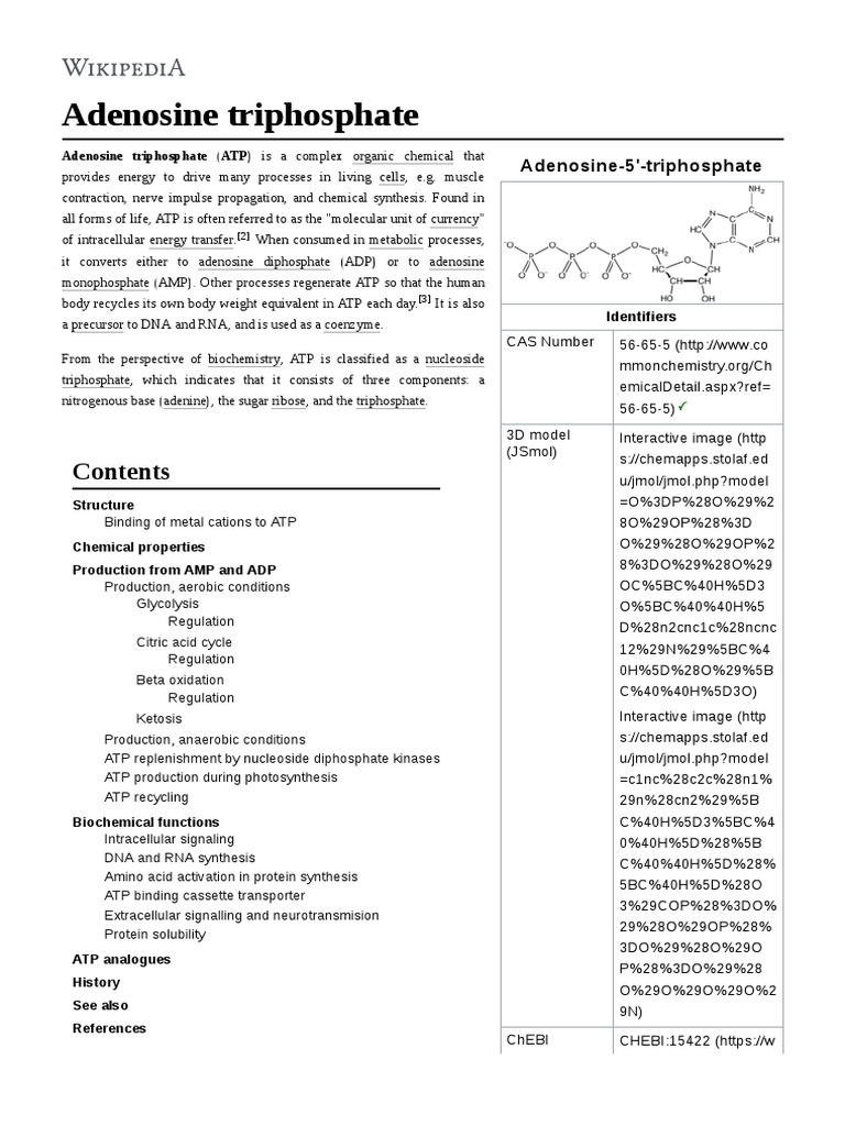 Adenosine Triphosphate | PDF | Adenosine Triphosphate | Glycolysis