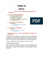 Tema 23 PDF