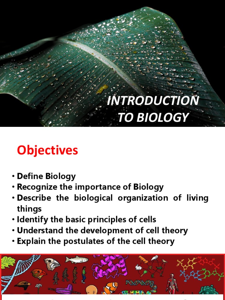 Introduction to Biology Concepts | PDF | Cell (Biology) | Reproduction