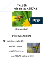 Taller " El Mundo de Las ABEJAS": ¡¡Bienvenidos!!