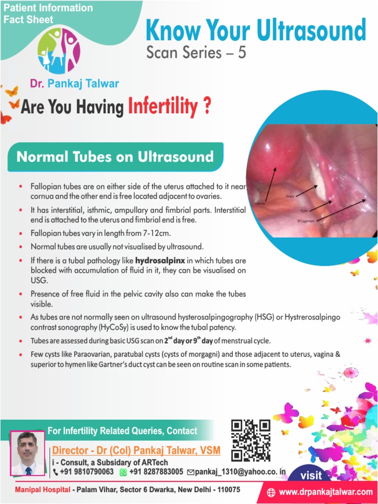#Normal #Tubes On #Ultrasound | PDF